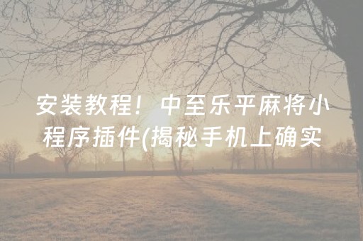 安装教程！中至乐平麻将小程序插件(揭秘手机上确实有猫腻)