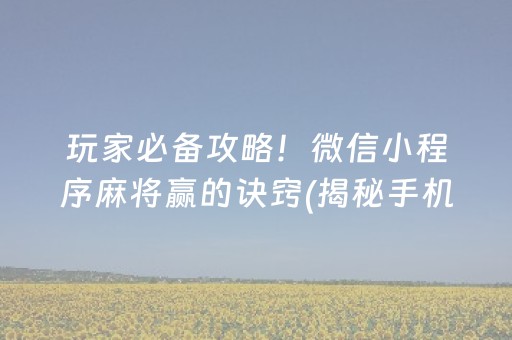 玩家必备攻略！微信小程序麻将赢的诀窍(揭秘手机上赢牌的技巧)