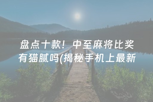 盘点十款！中至麻将比奖有猫腻吗(揭秘手机上最新神器下载)