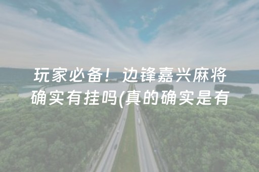 玩家必备！边锋嘉兴麻将确实有挂吗(真的确实是有挂)