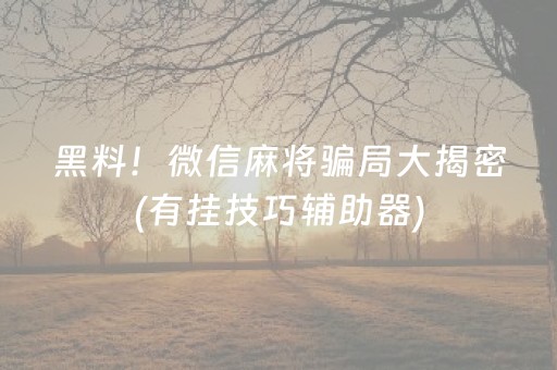 黑料！微信麻将骗局大揭密(有挂技巧辅助器)