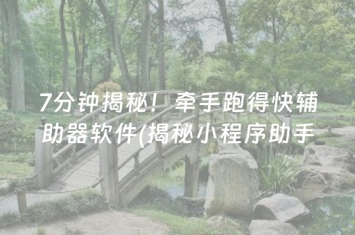 7分钟揭秘！牵手跑得快辅助器软件(揭秘小程序助手软件)