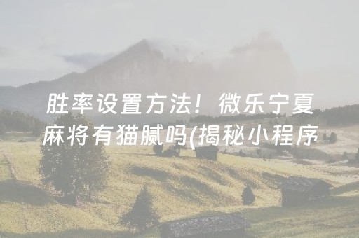 胜率设置方法！微乐宁夏麻将有猫腻吗(揭秘小程序确实有猫腻)