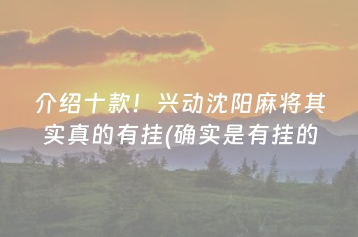 介绍十款！兴动沈阳麻将其实真的有挂(确实是有挂的)