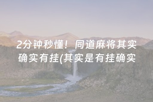 2分钟秒懂！同道麻将其实确实有挂(其实是有挂确实有挂)
