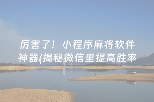 厉害了！小程序麻将软件神器(揭秘微信里提高胜率)