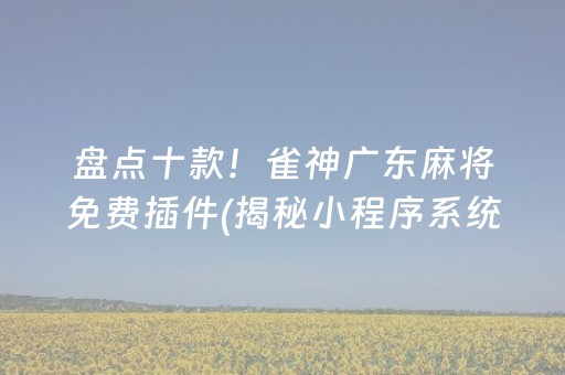 盘点十款！雀神广东麻将免费插件(揭秘小程序系统发好牌)