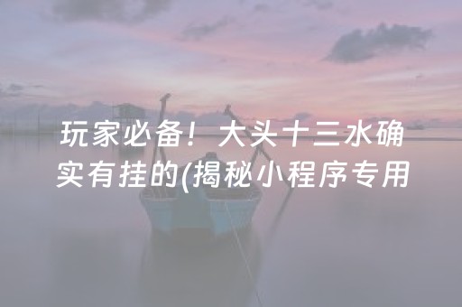 玩家必备！大头十三水确实有挂的(揭秘小程序专用神器)
