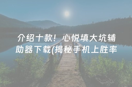 介绍十款！心悦填大坑辅助器下载(揭秘手机上胜率到哪调)