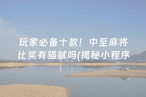 玩家必备十款！中至麻将比奖有猫腻吗(揭秘小程序系统发好牌)