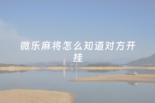 微乐麻将怎么知道对方开挂（怎样看出微乐麻将有没有挂）