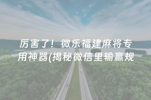 厉害了！微乐福建麻将专用神器(揭秘微信里输赢规律)