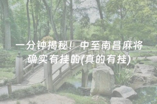 一分钟揭秘！中至南昌麻将确实有挂的(真的有挂)