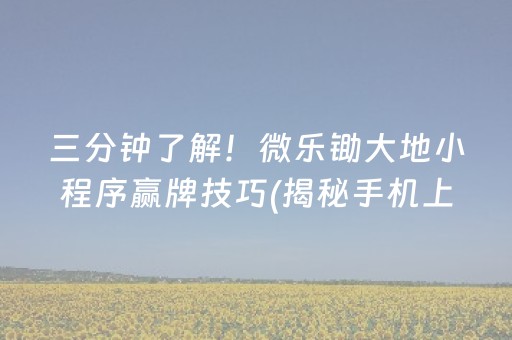 三分钟了解！微乐锄大地小程序赢牌技巧(揭秘手机上自建房怎么赢)