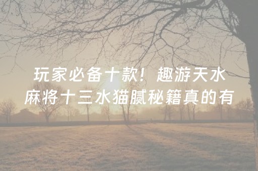 玩家必备十款！趣游天水麻将十三水猫腻秘籍真的有挂(确实是有挂的)