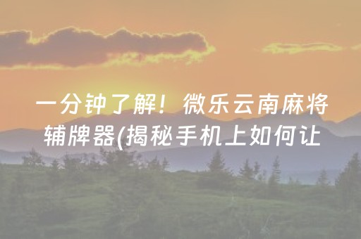 一分钟了解！微乐云南麻将辅牌器(揭秘手机上如何让牌变好)