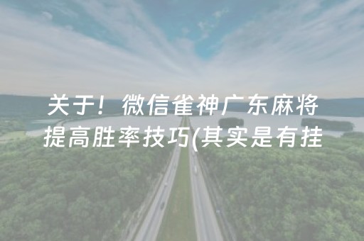关于！微信雀神广东麻将提高胜率技巧(其实是有挂确实有挂)