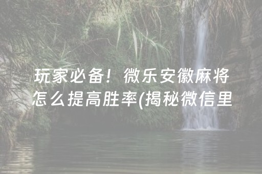 玩家必备！微乐安徽麻将怎么提高胜率(揭秘微信里提高胜率)