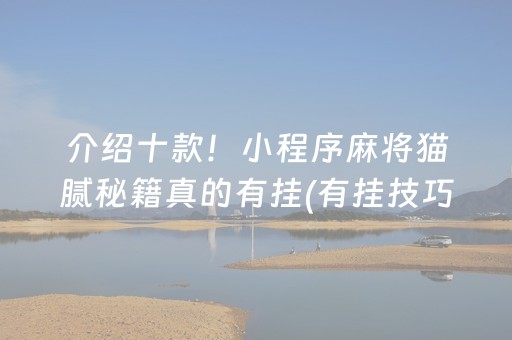 介绍十款！小程序麻将猫腻秘籍真的有挂(有挂技巧辅助器)