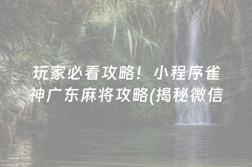 玩家必看攻略！小程序雀神广东麻将攻略(揭秘微信里胡牌技巧)