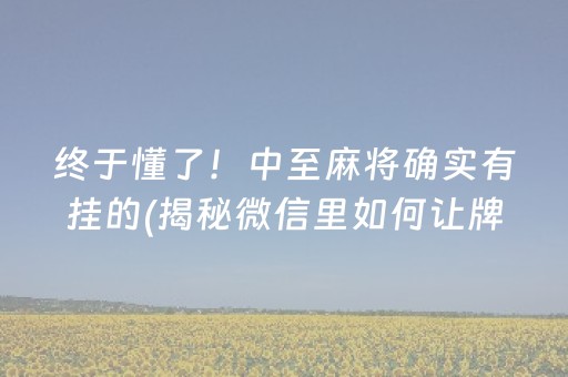 终于懂了！中至麻将确实有挂的(揭秘微信里如何让牌变好)