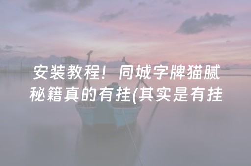 安装教程！同城字牌猫腻秘籍真的有挂(其实是有挂的)