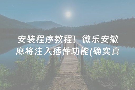 安装程序教程！微乐安徽麻将注入插件功能(确实真的有挂)