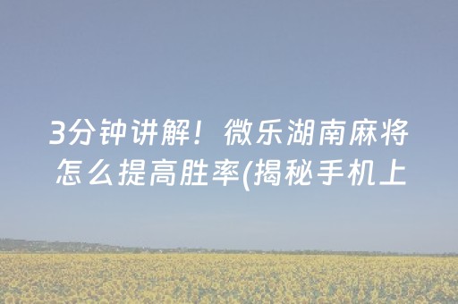 3分钟讲解！微乐湖南麻将怎么提高胜率(揭秘手机上赢牌技巧)
