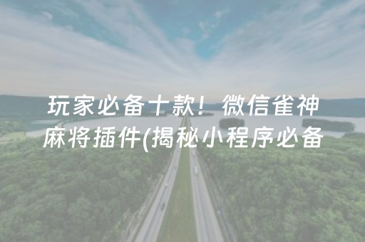 玩家必备十款！微信雀神麻将插件(揭秘小程序必备神器)