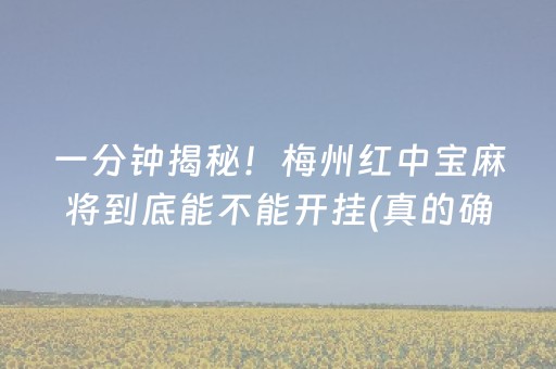 一分钟揭秘！梅州红中宝麻将到底能不能开挂(真的确实是有挂)
