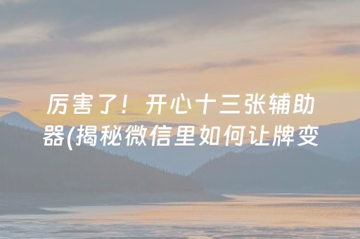 厉害了！开心十三张辅助器(揭秘微信里如何让牌变好)