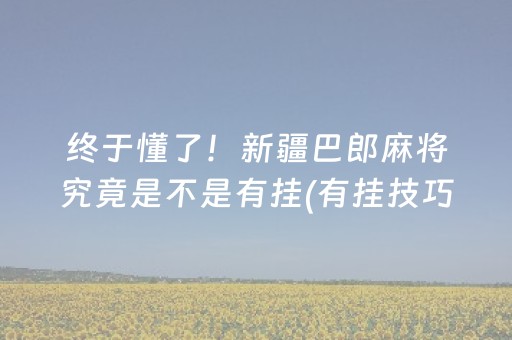 终于懂了！新疆巴郎麻将究竟是不是有挂(有挂技巧辅助器)