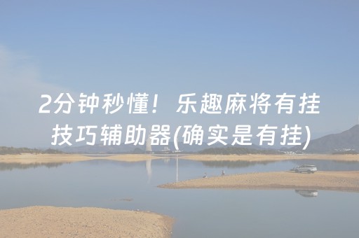 2分钟秒懂！乐趣麻将有挂技巧辅助器(确实是有挂)