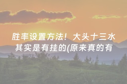 胜率设置方法！大头十三水其实是有挂的(原来真的有挂)