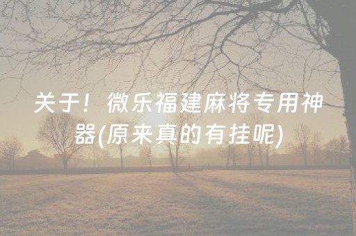 关于！微乐福建麻将专用神器(原来真的有挂呢)