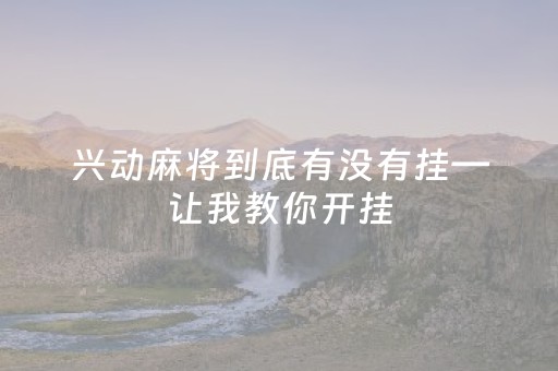 兴动麻将到底有没有挂—让我教你开挂（兴动休闲麻将可以开挂吗）