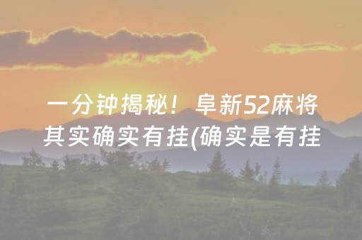 一分钟揭秘！阜新52麻将其实确实有挂(确实是有挂的)