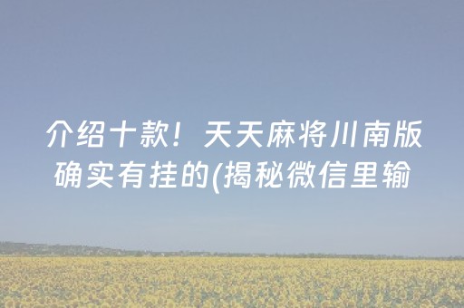 介绍十款！天天麻将川南版确实有挂的(揭秘微信里输赢技巧)