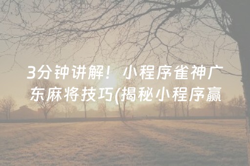 3分钟讲解！小程序雀神广东麻将技巧(揭秘小程序赢的秘诀)