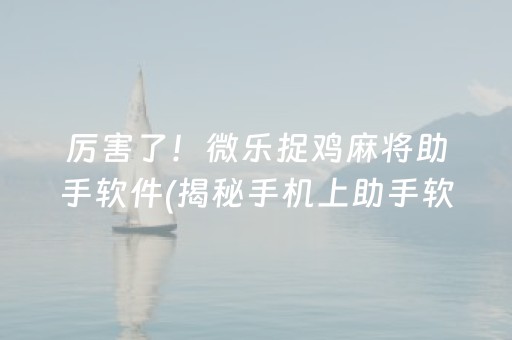 厉害了！微乐捉鸡麻将助手软件(揭秘手机上助手软件)