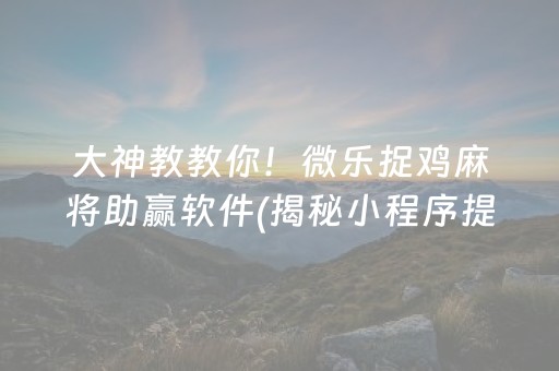 大神教教你！微乐捉鸡麻将助赢软件(揭秘小程序提高胜率)