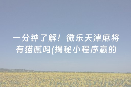 一分钟了解！微乐天津麻将有猫腻吗(揭秘小程序赢的诀窍)