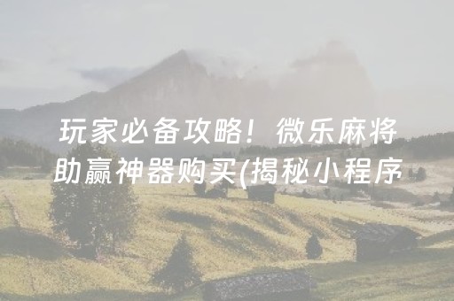 玩家必备攻略！微乐麻将助赢神器购买(揭秘小程序助赢软件)