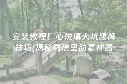 安装教程！心悦填大坑踢牌技巧(揭秘微信里助赢神器购买)