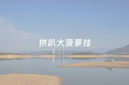 拱趴大菠萝挂（拱趴大菠萝怎么开挂啊）