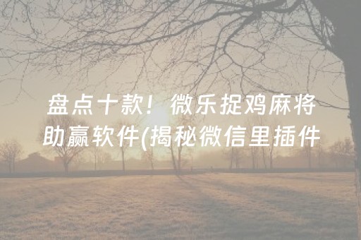 盘点十款！微乐捉鸡麻将助赢软件(揭秘微信里插件免费)