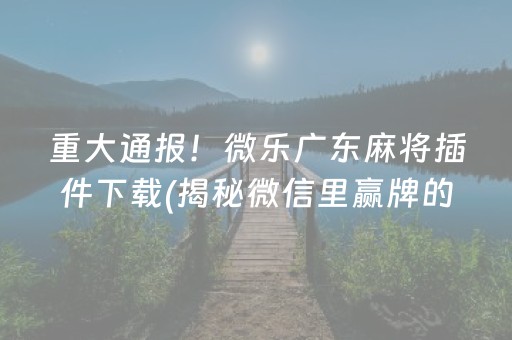 重大通报！微乐广东麻将插件下载(揭秘微信里赢牌的技巧)