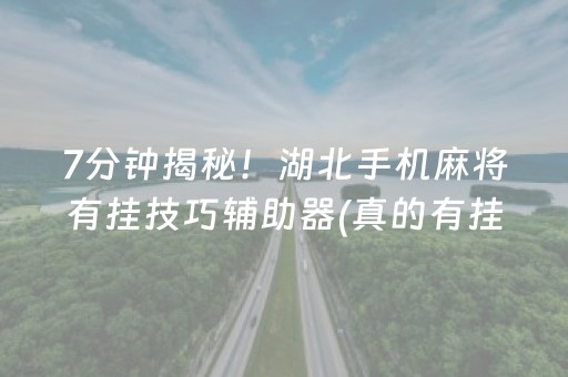 7分钟揭秘！湖北手机麻将有挂技巧辅助器(真的有挂确实有挂)
