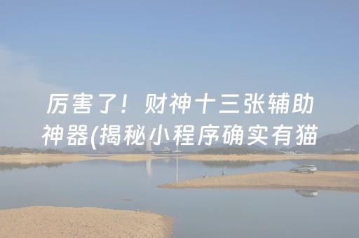 厉害了！财神十三张辅助神器(揭秘小程序确实有猫腻)