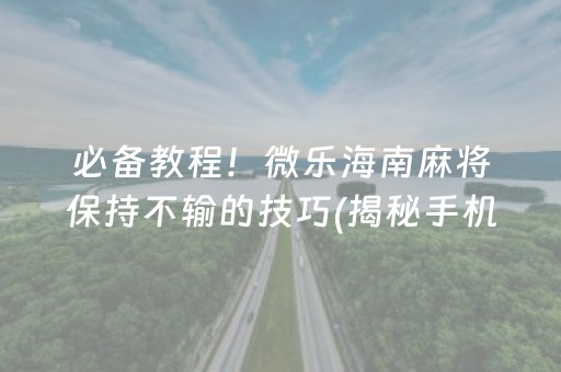 必备教程！微乐海南麻将保持不输的技巧(揭秘手机上插件免费)